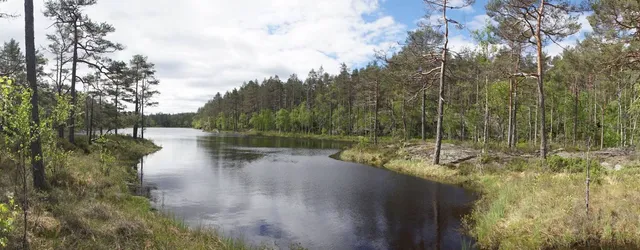 Tresticklan National Park