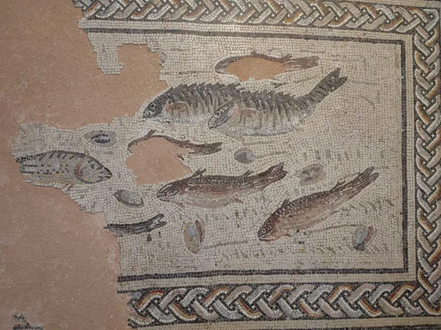 MuséAl, service archéologique départemental - Musée et site départemental d'Alba