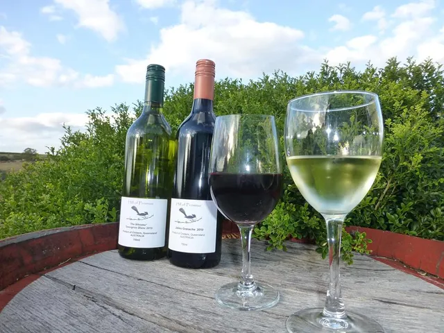 Hill of Promise Winery and Cellar Door