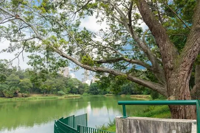 Carlos Botelho State Park