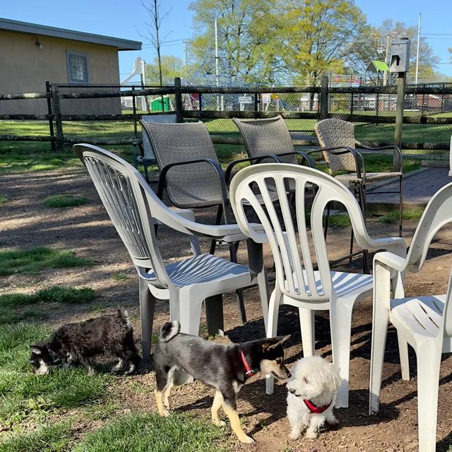 Stamford Dog Park