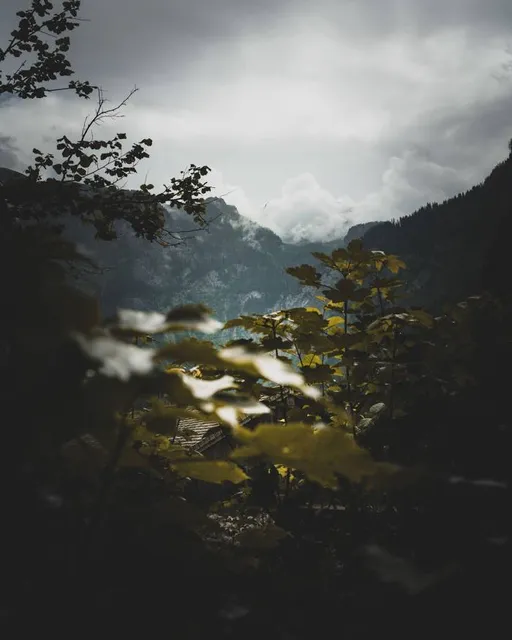 Catoosa Wildlife Management Area