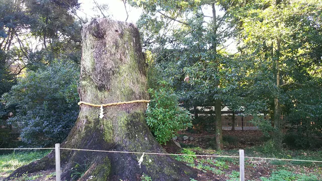photo-3