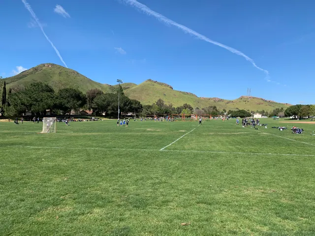 Pepper Tree Playfield