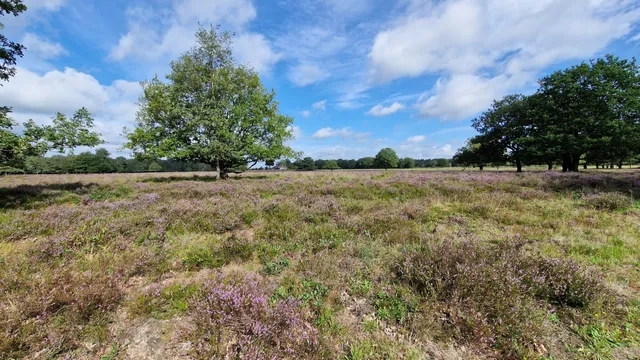 Boswachterspad Oudemolense Diep