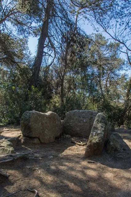 Dolmen de Can Gol II