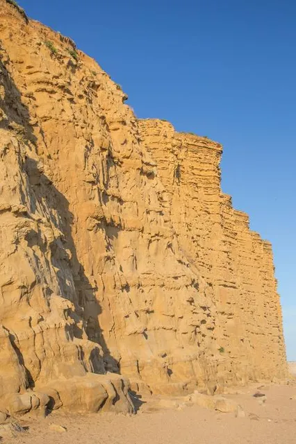 Bridport Beach Front