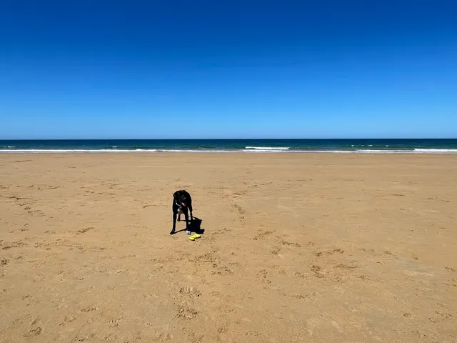 Playa canina de Trengandín