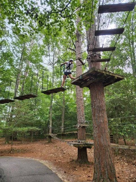 TreeTop Adventure