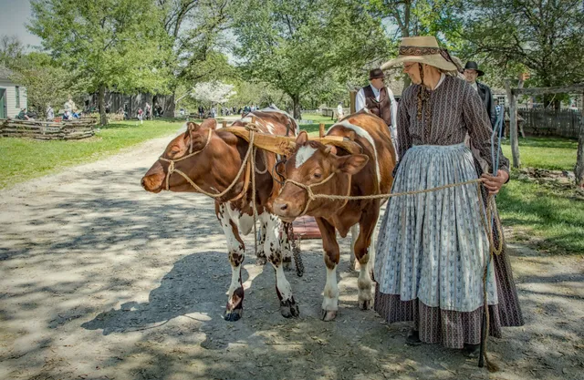 Missouri Town Living History Museum