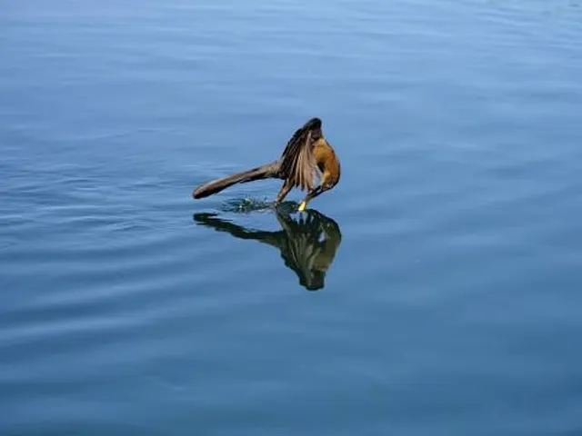 Rio Vista Community Park