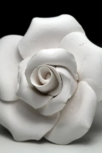 CeramicNature / Ceramic Nature