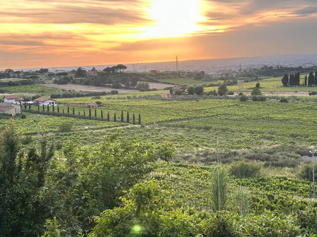 Merumalia Società Agricola Semplice