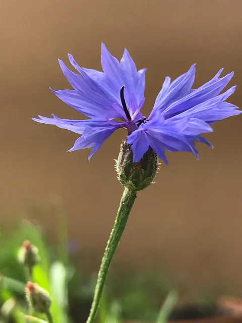 Monumento Naturale Oasi WWF Pian Sant'Angelo