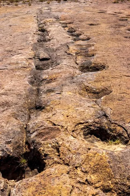 Huellas de Dinosaurios