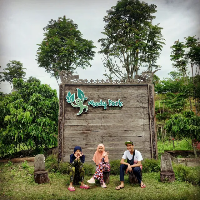 Woody Park Borneo