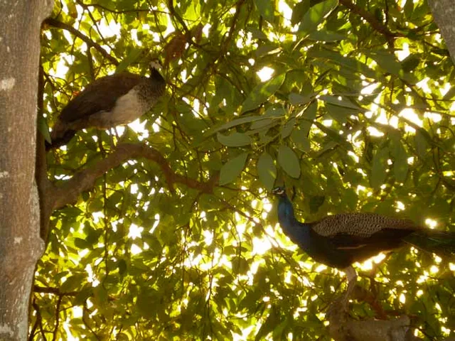 AUTarcaMatricultura - Permaculture - only with reservation