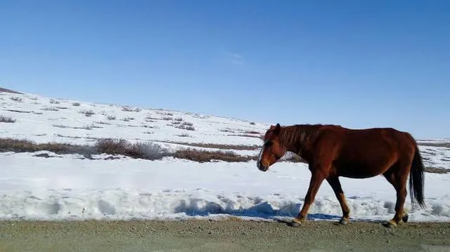SANCY'O Pôle Aqualudique de La Bourboule