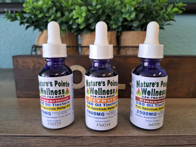 Nature's Pointe Wellness