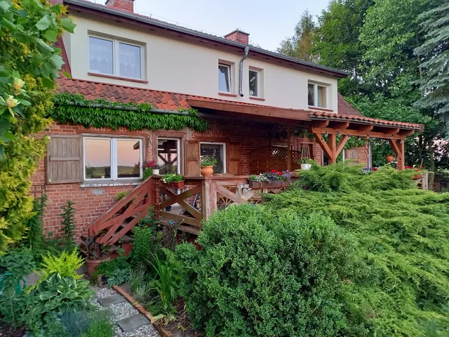 Dziki brzeg Jezioraka