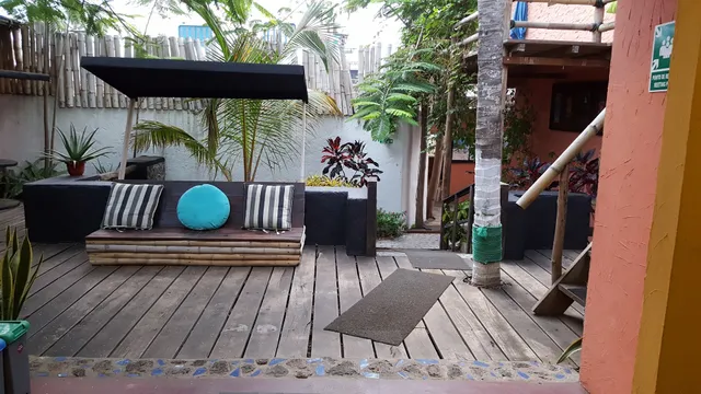 Galapagos Morning Glory