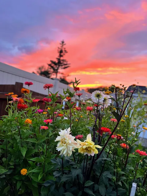 Wild Flowerchild Farms LLC