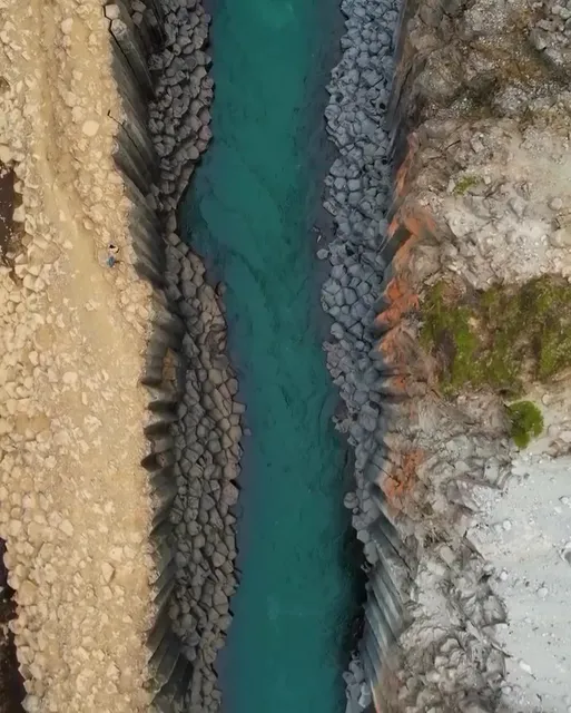 Shiva Tourist Dhaba Shakti Choudhary