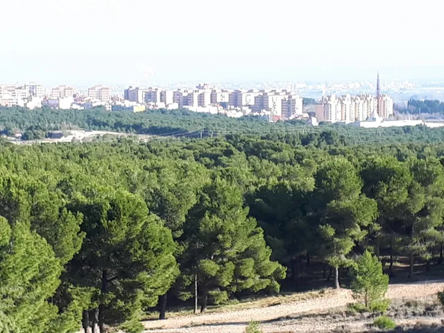 Mirador Puerto Venecia