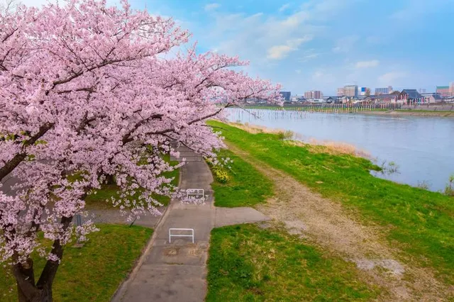 Hengshan Calligraphy Art Park