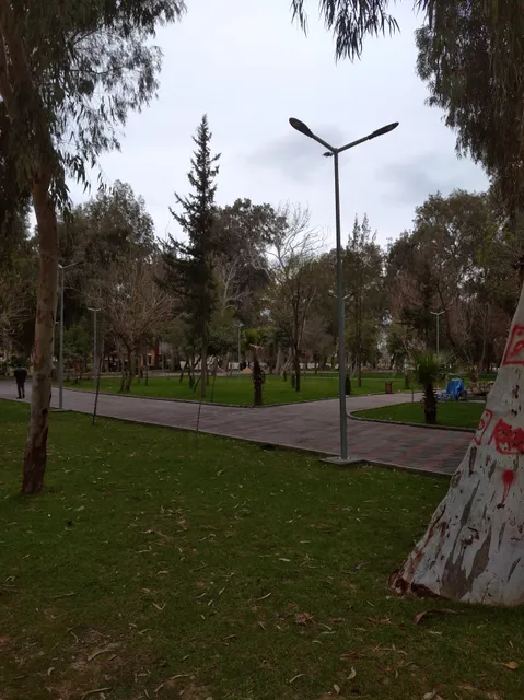 place image