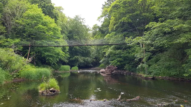 Bothal stepping stones