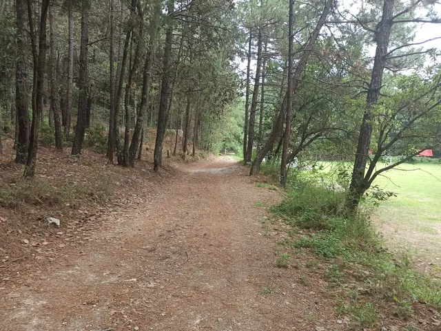 Bosque El Zembo, Huasca de Ocampo, Hidalgo