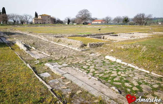 Parco Archeologico della Città Romana di Suasa
