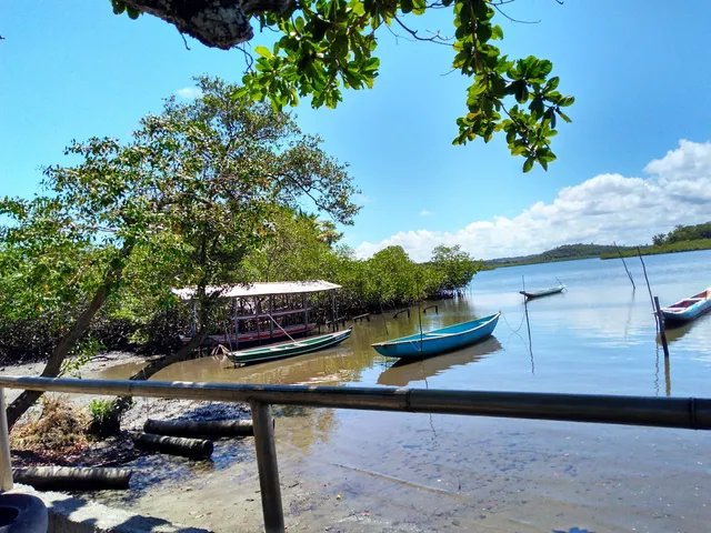 🌴Ilha do Tanque🌴