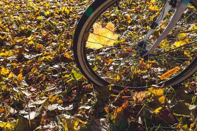 Yumemigasaki Zoological Park