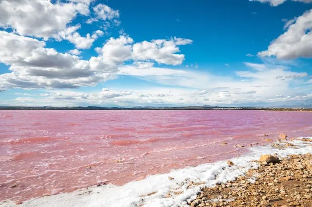 The Pink Lake Of Torrevieja