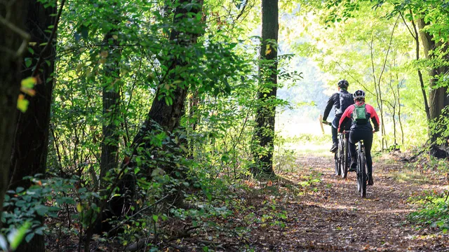 Mountainbikenopdeveluwe.nl