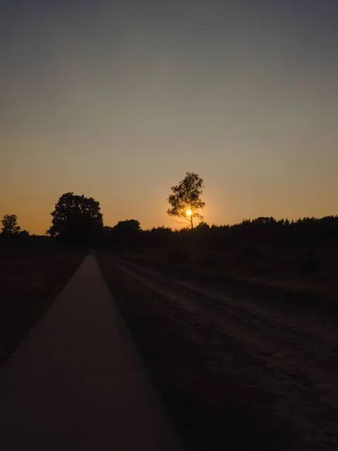 Toorale National Park