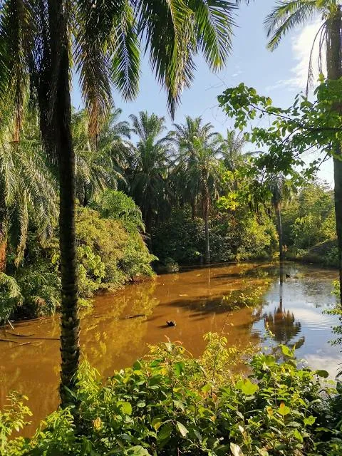 Melati Hill Trailhead