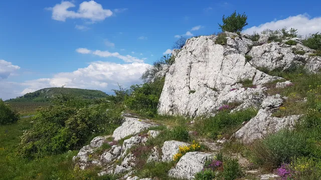 photo-1