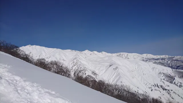 Hakuba Goryu Alpine Botanical Gardens