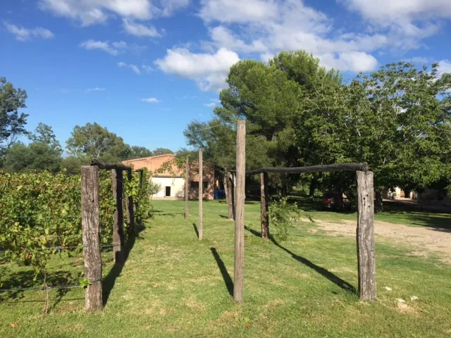 Bodega Finca Las Breas