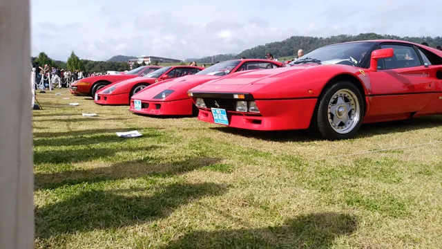 Zao hill vantage open field museum