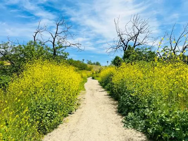 Audubon Center at Debs Park