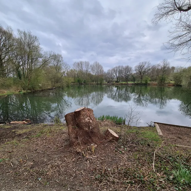 Pioneer Meadows Nature Reserve