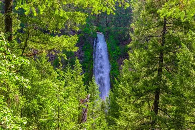 Prospect State Scenic Viewpoint