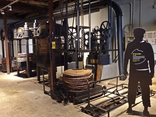 Centre de la Cultura de l'Oli de Catalunya