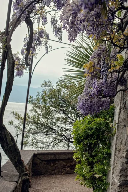 Giardino Botanico di Villa Cipressi