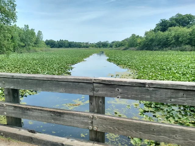 Soldiers Memorial Park