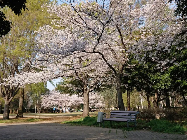 Sagigo Number 5 Park (Campbelltown Park)